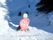 Toboggan run on the Mutterer Alm