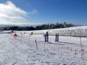 Slalom for children at the magic carpet