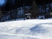 Kehlsteinlift - T-bar