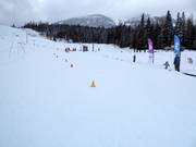 Practice slope with conveyor belt