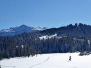 View from the Winklmoosalm towards the Steinplatte