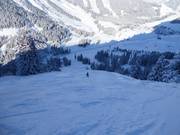 Black run at Rastkopf