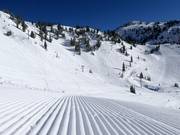 Very well-groomed slopes in Snowbird