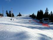 The easy slope at Greenway Chair