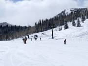 Easy slope at the Link chairlift