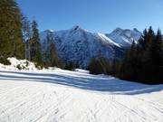 Easy slope at the Jöchelspitzbahn
