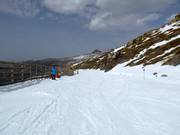 Easy valley run Maribel