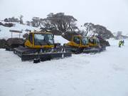 The snow groomers are waiting for their next assignment.