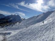 Deep powder slopes on the Planai
