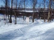 Descent through the forest for children
