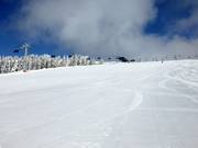 Groomed Zeigerabfahrt