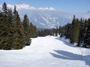 Tschuggen Forest Run