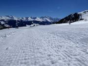 Very good grooming even under difficult conditions