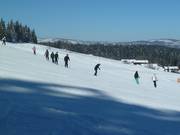 Easy slopes at the Kirchenlift
