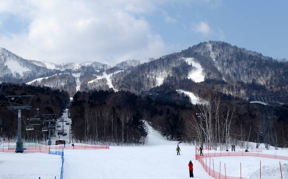 Prince Snow Resorts: size of the ski resorts – Size Furano