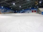 The upper part of the main slope