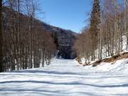Valley run Žagarjev graben No. 14