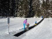 Conveyor belt Thaneller