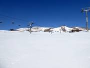 Easy slope Kogen (Grand Hirafu)
