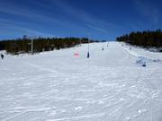Wide and easy slope Västbacken