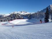 Large storage pond in Pinzolo