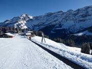 Tapis Mazots - People mover/Moving Carpet