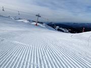 Groomed slope in the Jahorina ski resort