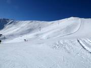 View of the challenging slopes Col and Face (Zinal)