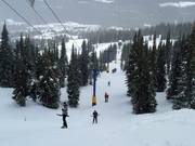 Alpine T-Bar - T-bar