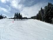 Quickdraw downhill run