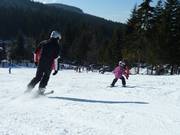 Good conditions for your first steps on skis