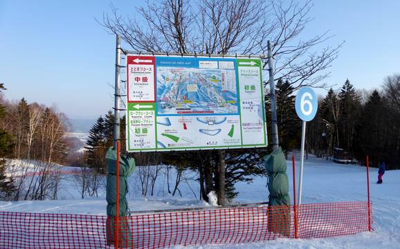 Prince Snow Resorts: orientation within ski resorts – Orientation Furano