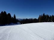 Perfectly groomed slopes in the Meran 2000 ski area
