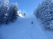 Difficult slope at the Roßleitenbahn