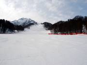 Perfectly suited for fast carving: Ozernaya