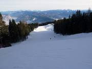 Dosso Larici downhill run