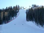 Difficult slope Holzriese 1