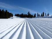 First-class slope grooming in Hafjell