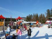 The large playground