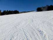 Fishang run at the Stübenwasen lift