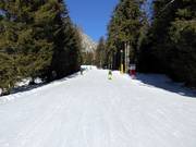 Easy slope Falzeben I