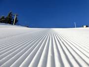 Very good slope grooming at Arber