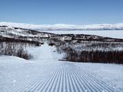Very well-groomed slope in Björkliden