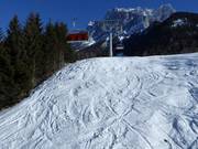 A short detour into the deep snow is possible