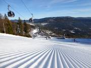 Very well-groomed slopes at Arber