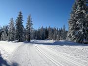 Roßbrand high-altitude cross-country trail