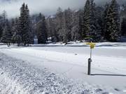 High-altitude trail Schlickeralm: Very well groomed