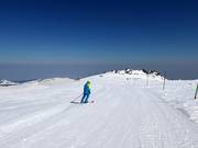 Slope Laleto lesna 3