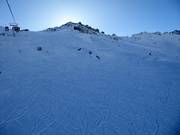 Powder slopes on the Presena Glacier