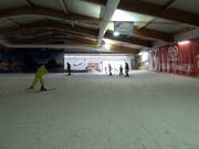Opposite slope in the lower part of the ski hall
